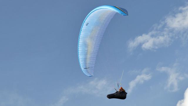 Deux vautours de l'Himalaya au dessus d'un parapente Ozone Swift 6